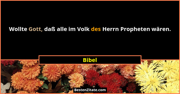 Wollte Gott, daß alle im Volk des Herrn Propheten wären.... - Bibel