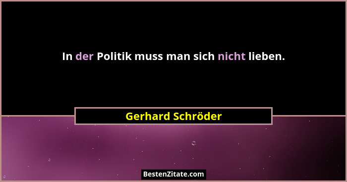 In der Politik muss man sich nicht lieben.... - Gerhard Schröder