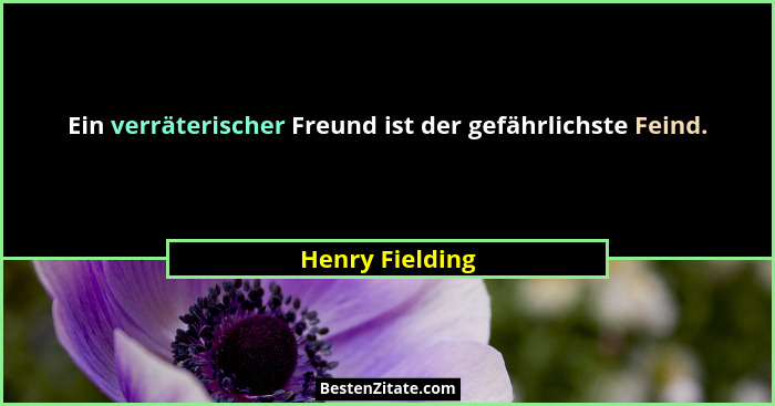 Ein verräterischer Freund ist der gefährlichste Feind.... - Henry Fielding