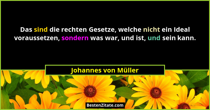 Das sind die rechten Gesetze, welche nicht ein Ideal voraussetzen, sondern was war, und ist, und sein kann.... - Johannes von Müller