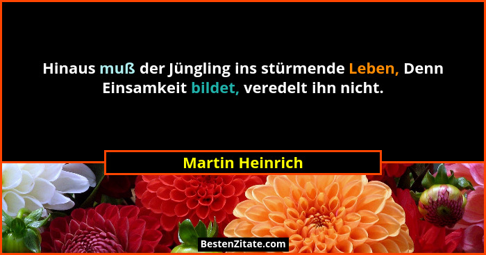 Hinaus muß der Jüngling ins stürmende Leben, Denn Einsamkeit bildet, veredelt ihn nicht.... - Martin Heinrich