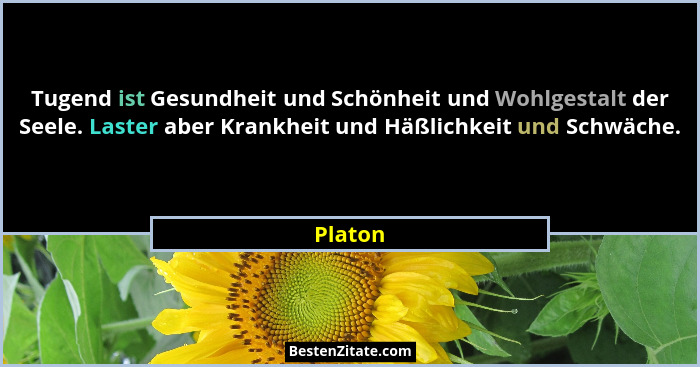 Tugend ist Gesundheit und Schönheit und Wohlgestalt der Seele. Laster aber Krankheit und Häßlichkeit und Schwäche.... - Platon