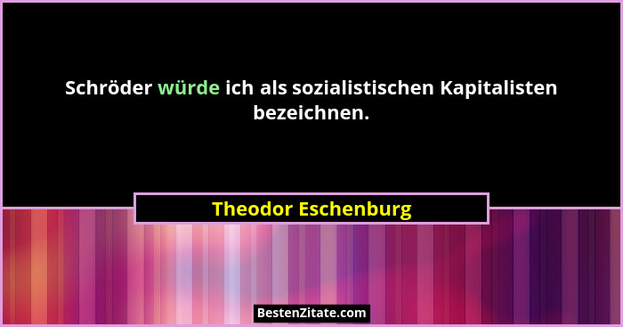 Schröder würde ich als sozialistischen Kapitalisten bezeichnen.... - Theodor Eschenburg