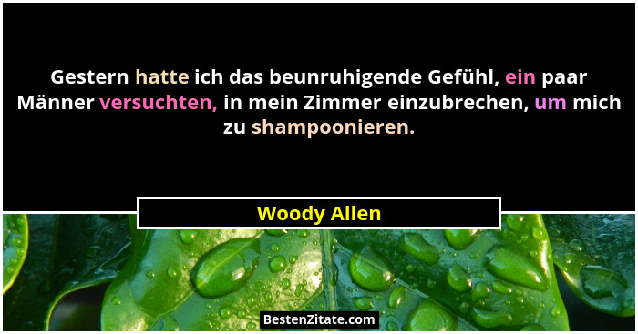 Gestern hatte ich das beunruhigende Gefühl, ein paar Männer versuchten, in mein Zimmer einzubrechen, um mich zu shampoonieren.... - Woody Allen