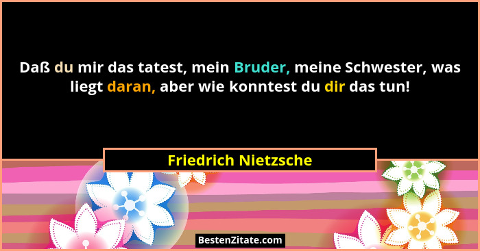 Daß du mir das tatest, mein Bruder, meine Schwester, was liegt daran, aber wie konntest du dir das tun!... - Friedrich Nietzsche