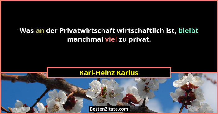 Was an der Privatwirtschaft wirtschaftlich ist, bleibt manchmal viel zu privat.... - Karl-Heinz Karius