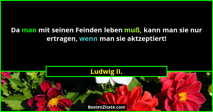 Da man mit seinen Feinden leben muß, kann man sie nur ertragen, wenn man sie aktzeptiert!... - Ludwig II.