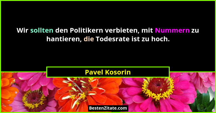 Wir sollten den Politikern verbieten, mit Nummern zu hantieren, die Todesrate ist zu hoch.... - Pavel Kosorin