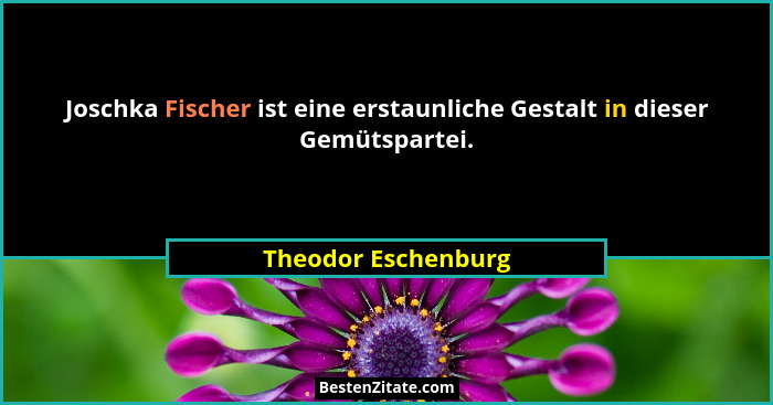 Joschka Fischer ist eine erstaunliche Gestalt in dieser Gemütspartei.... - Theodor Eschenburg