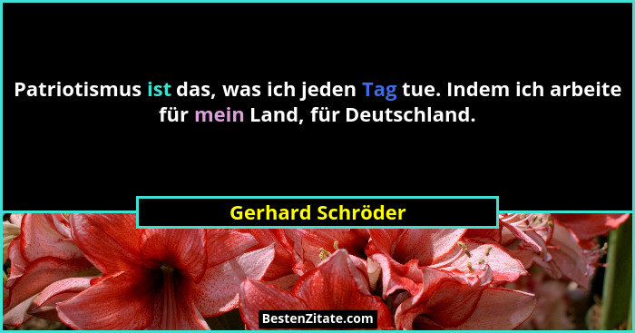 Patriotismus ist das, was ich jeden Tag tue. Indem ich arbeite für mein Land, für Deutschland.... - Gerhard Schröder