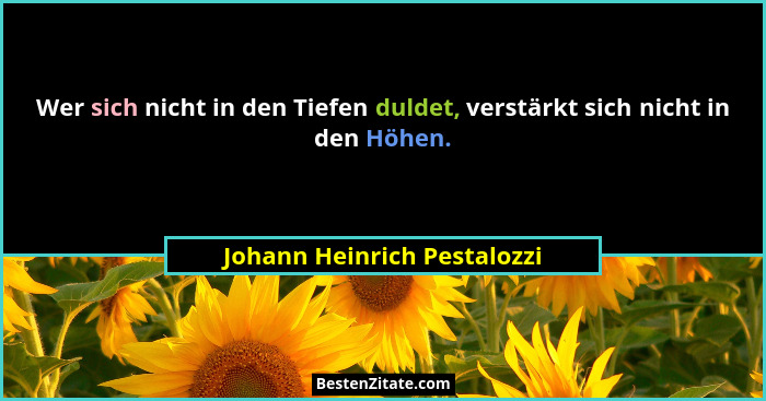 Wer sich nicht in den Tiefen duldet, verstärkt sich nicht in den Höhen.... - Johann Heinrich Pestalozzi