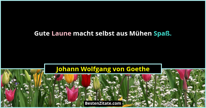 Gute Laune macht selbst aus Mühen Spaß.... - Johann Wolfgang von Goethe