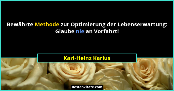 Bewährte Methode zur Optimierung der Lebenserwartung: Glaube nie an Vorfahrt!... - Karl-Heinz Karius