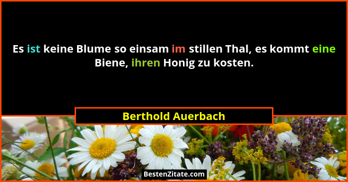 Es ist keine Blume so einsam im stillen Thal, es kommt eine Biene, ihren Honig zu kosten.... - Berthold Auerbach