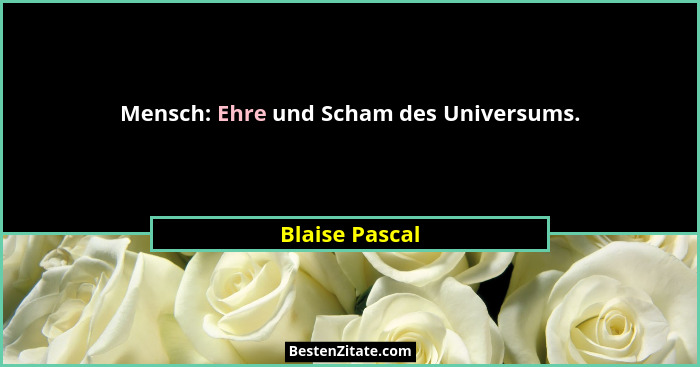 Mensch: Ehre und Scham des Universums.... - Blaise Pascal