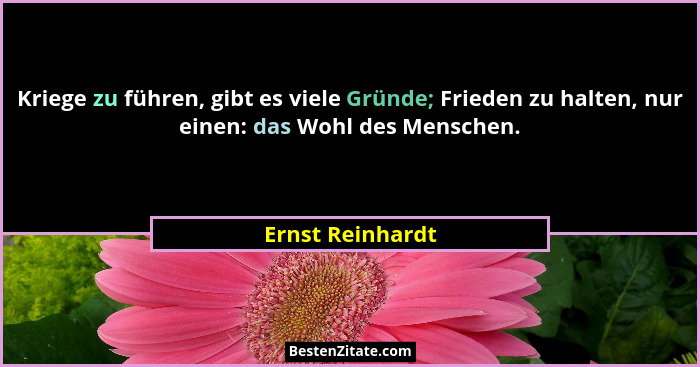 Kriege zu führen, gibt es viele Gründe; Frieden zu halten, nur einen: das Wohl des Menschen.... - Ernst Reinhardt
