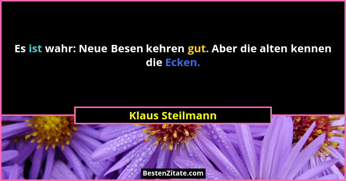 Es ist wahr: Neue Besen kehren gut. Aber die alten kennen die Ecken.... - Klaus Steilmann