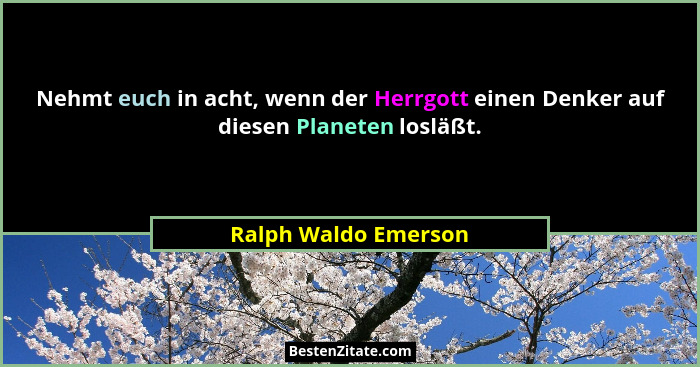 Nehmt euch in acht, wenn der Herrgott einen Denker auf diesen Planeten losläßt.... - Ralph Waldo Emerson