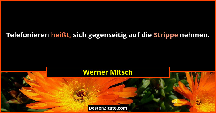 Telefonieren heißt, sich gegenseitig auf die Strippe nehmen.... - Werner Mitsch