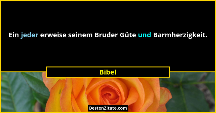 Ein jeder erweise seinem Bruder Güte und Barmherzigkeit.... - Bibel