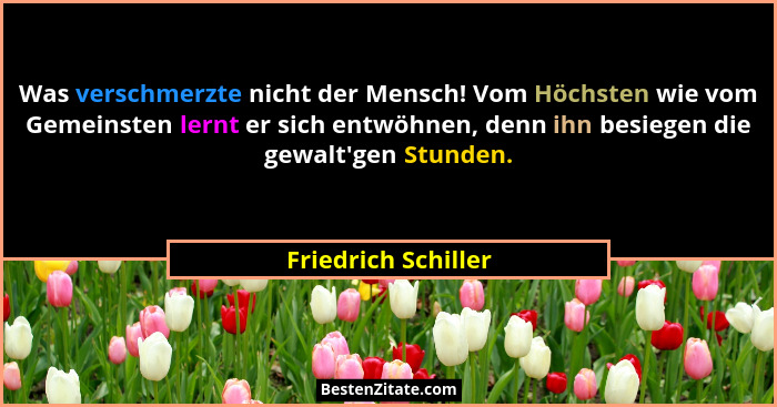Was verschmerzte nicht der Mensch! Vom Höchsten wie vom Gemeinsten lernt er sich entwöhnen, denn ihn besiegen die gewalt'gen... - Friedrich Schiller