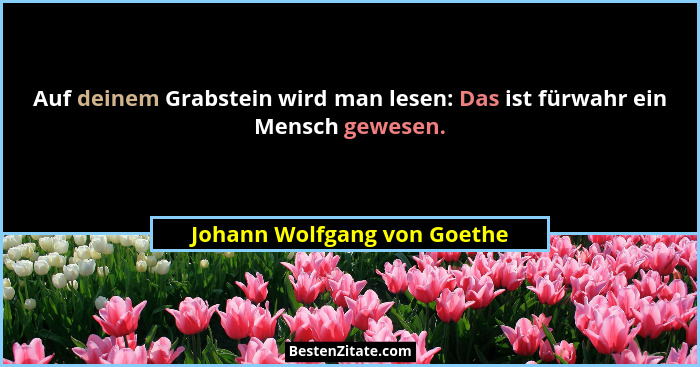 Auf deinem Grabstein wird man lesen: Das ist fürwahr ein Mensch gewesen.... - Johann Wolfgang von Goethe