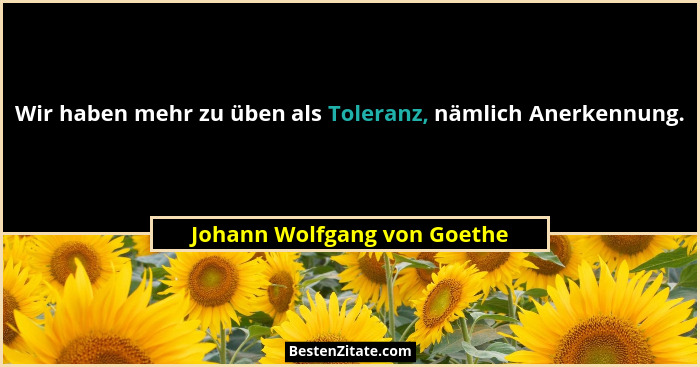 Wir haben mehr zu üben als Toleranz, nämlich Anerkennung.... - Johann Wolfgang von Goethe