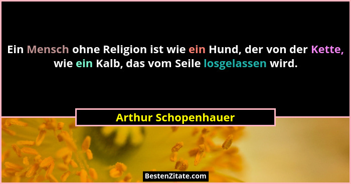 Ein Mensch ohne Religion ist wie ein Hund, der von der Kette, wie ein Kalb, das vom Seile losgelassen wird.... - Arthur Schopenhauer