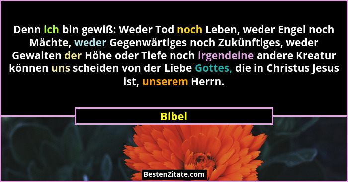 Denn ich bin gewiß: Weder Tod noch Leben, weder Engel noch Mächte, weder Gegenwärtiges noch Zukünftiges, weder Gewalten der Höhe oder Tiefe no... - Bibel