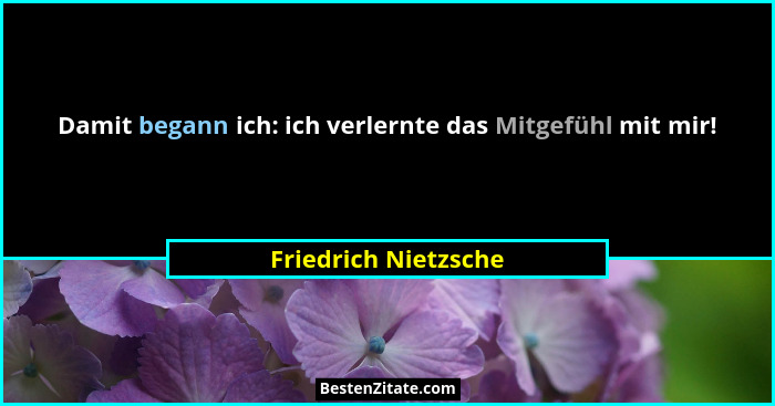 Damit begann ich: ich verlernte das Mitgefühl mit mir!... - Friedrich Nietzsche