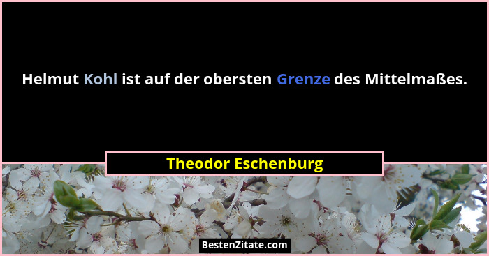 Helmut Kohl ist auf der obersten Grenze des Mittelmaßes.... - Theodor Eschenburg