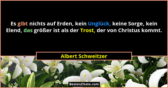 Es gibt nichts auf Erden, kein Unglück, keine Sorge, kein Elend, das größer ist als der Trost, der von Christus kommt.... - Albert Schweitzer