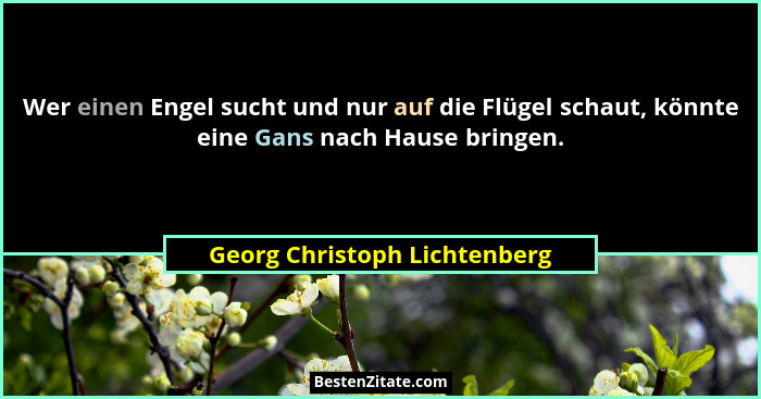 Wer einen Engel sucht und nur auf die Flügel schaut, könnte eine Gans nach Hause bringen.... - Georg Christoph Lichtenberg