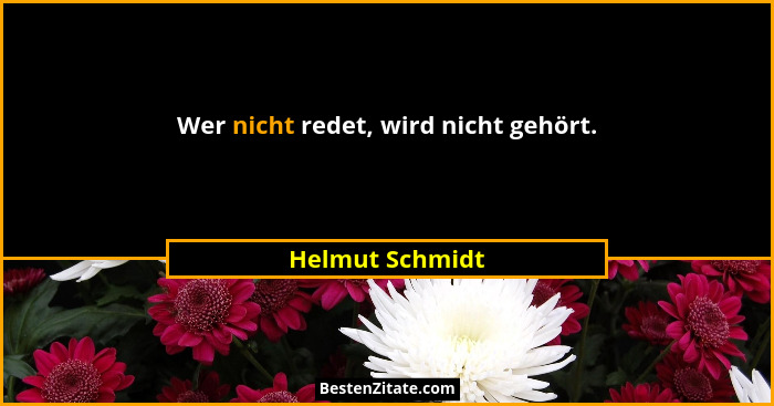 Wer nicht redet, wird nicht gehört.... - Helmut Schmidt