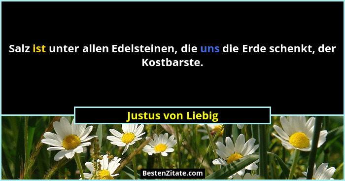 Salz ist unter allen Edelsteinen, die uns die Erde schenkt, der Kostbarste.... - Justus von Liebig