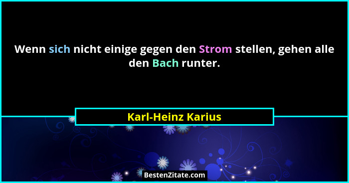 Wenn sich nicht einige gegen den Strom stellen, gehen alle den Bach runter.... - Karl-Heinz Karius