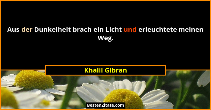 Aus der Dunkelheit brach ein Licht und erleuchtete meinen Weg.... - Khalil Gibran