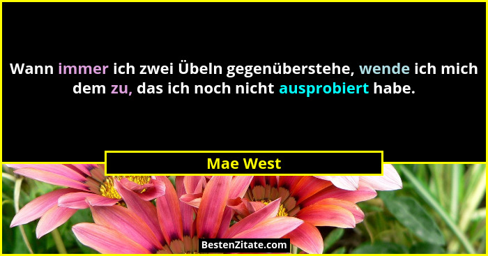 Wann immer ich zwei Übeln gegenüberstehe, wende ich mich dem zu, das ich noch nicht ausprobiert habe.... - Mae West