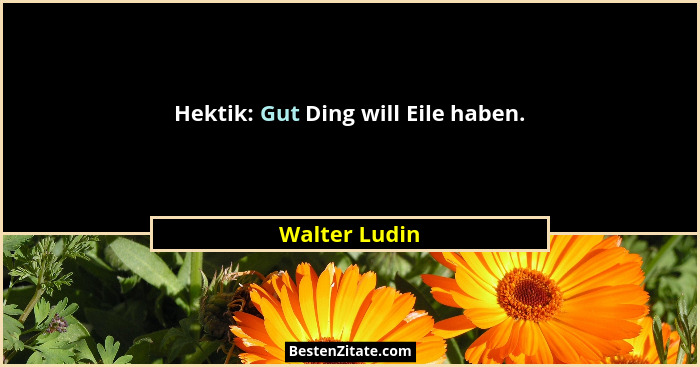 Hektik: Gut Ding will Eile haben.... - Walter Ludin