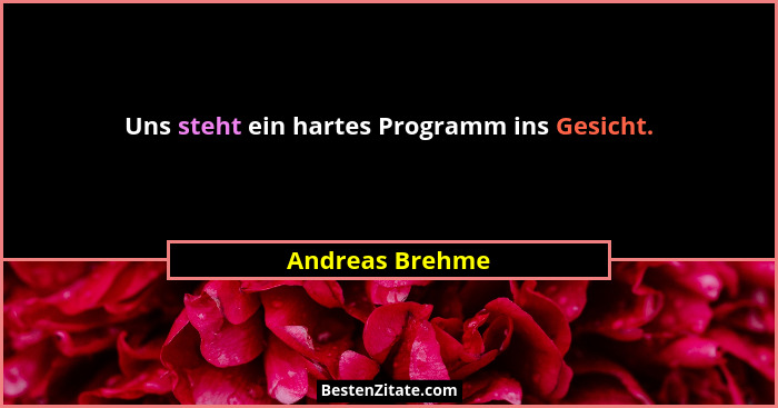 Uns steht ein hartes Programm ins Gesicht.... - Andreas Brehme