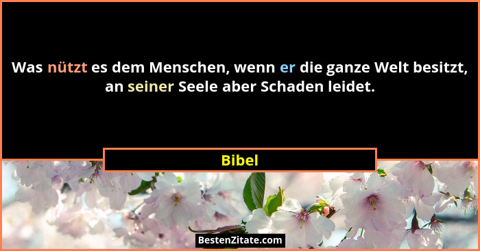 Was nützt es dem Menschen, wenn er die ganze Welt besitzt, an seiner Seele aber Schaden leidet.... - Bibel