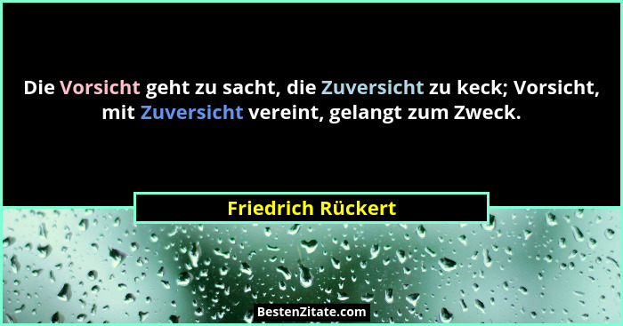 Die Vorsicht geht zu sacht, die Zuversicht zu keck; Vorsicht, mit Zuversicht vereint, gelangt zum Zweck.... - Friedrich Rückert