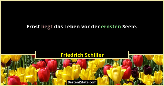 Ernst liegt das Leben vor der ernsten Seele.... - Friedrich Schiller
