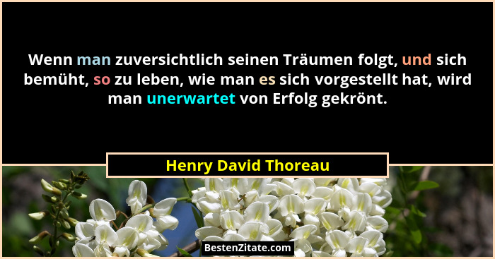 Wenn man zuversichtlich seinen Träumen folgt, und sich bemüht, so zu leben, wie man es sich vorgestellt hat, wird man unerwartet... - Henry David Thoreau