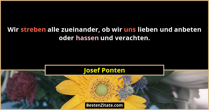 Wir streben alle zueinander, ob wir uns lieben und anbeten oder hassen und verachten.... - Josef Ponten