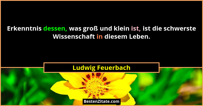 Erkenntnis dessen, was groß und klein ist, ist die schwerste Wissenschaft in diesem Leben.... - Ludwig Feuerbach