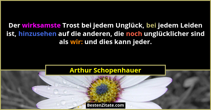 Der wirksamste Trost bei jedem Unglück, bei jedem Leiden ist, hinzusehen auf die anderen, die noch unglücklicher sind als wir: u... - Arthur Schopenhauer