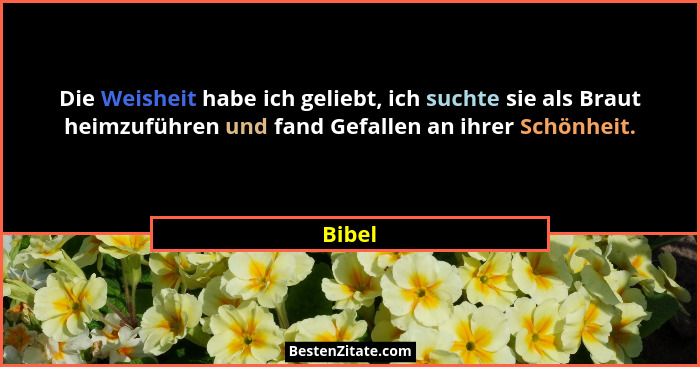 Die Weisheit habe ich geliebt, ich suchte sie als Braut heimzuführen und fand Gefallen an ihrer Schönheit.... - Bibel