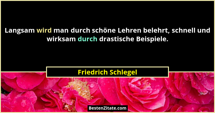 Langsam wird man durch schöne Lehren belehrt, schnell und wirksam durch drastische Beispiele.... - Friedrich Schlegel