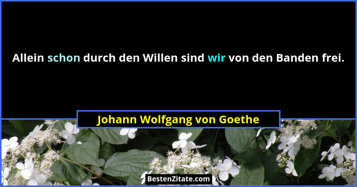 Allein schon durch den Willen sind wir von den Banden frei.... - Johann Wolfgang von Goethe